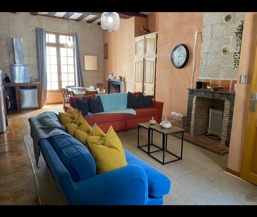 Grand Appartement Historique Rue Colbert 图尔 外观 照片