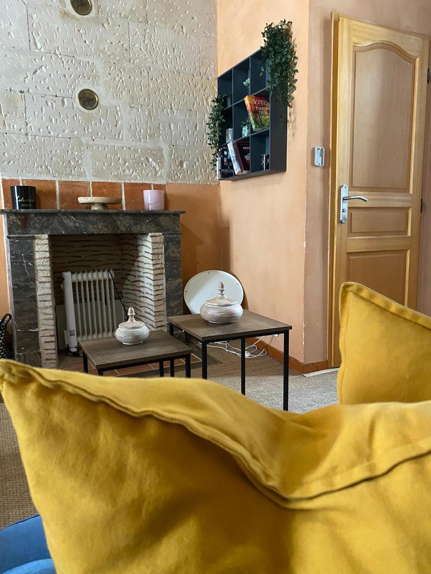 Grand Appartement Historique Rue Colbert 图尔 外观 照片