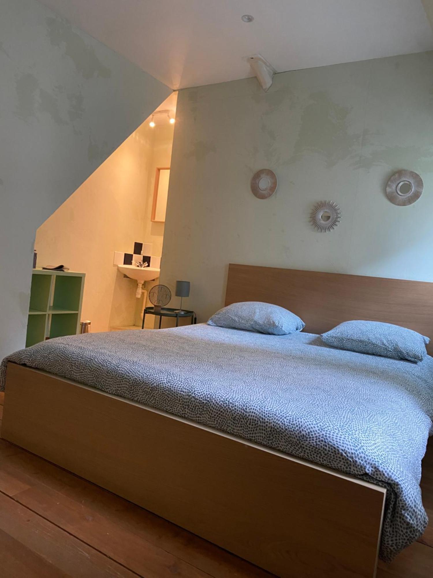 Grand Appartement Historique Rue Colbert 图尔 外观 照片