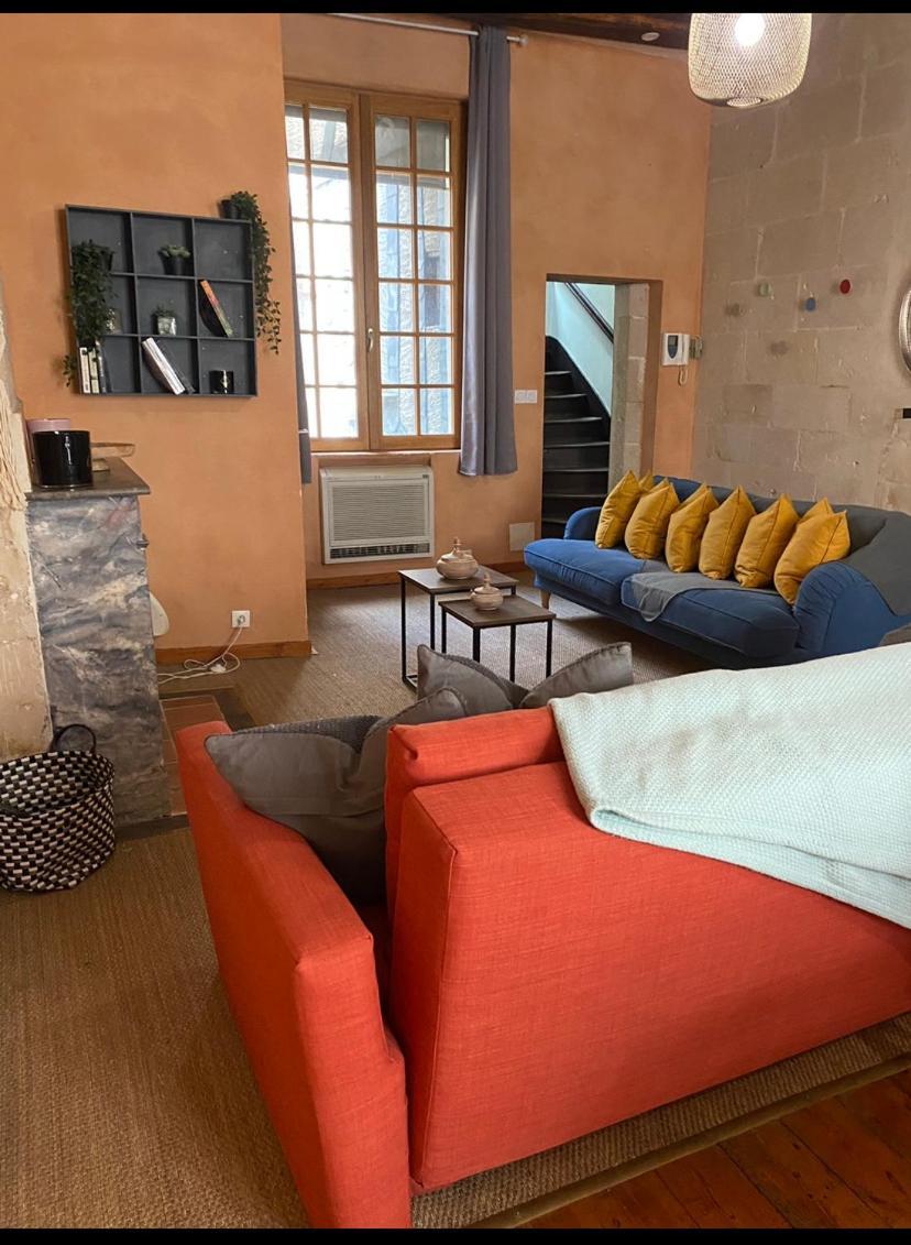 Grand Appartement Historique Rue Colbert 图尔 外观 照片