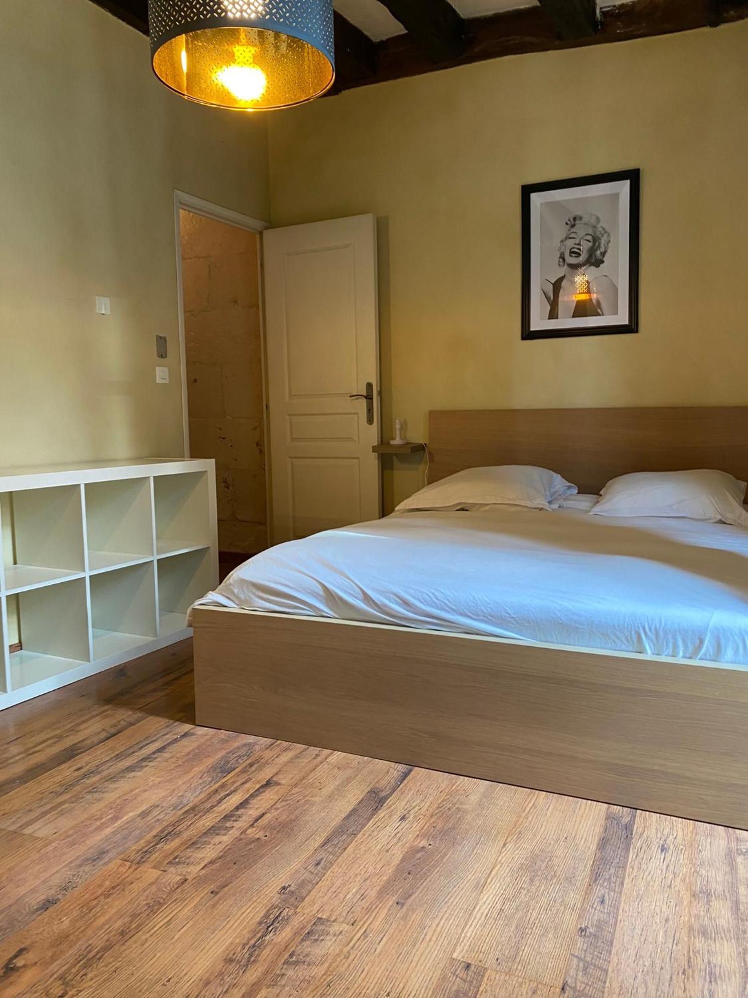 Grand Appartement Historique Rue Colbert 图尔 外观 照片