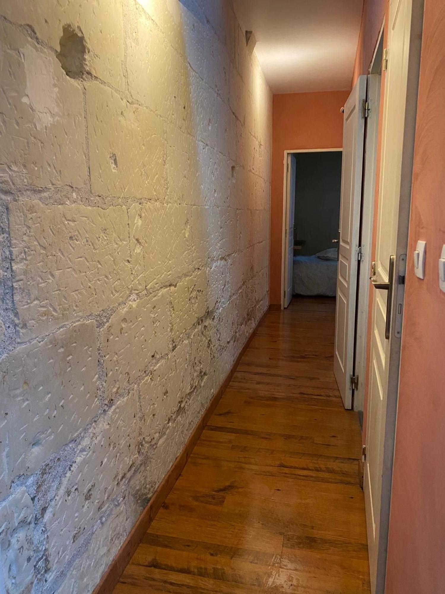 Grand Appartement Historique Rue Colbert 图尔 外观 照片
