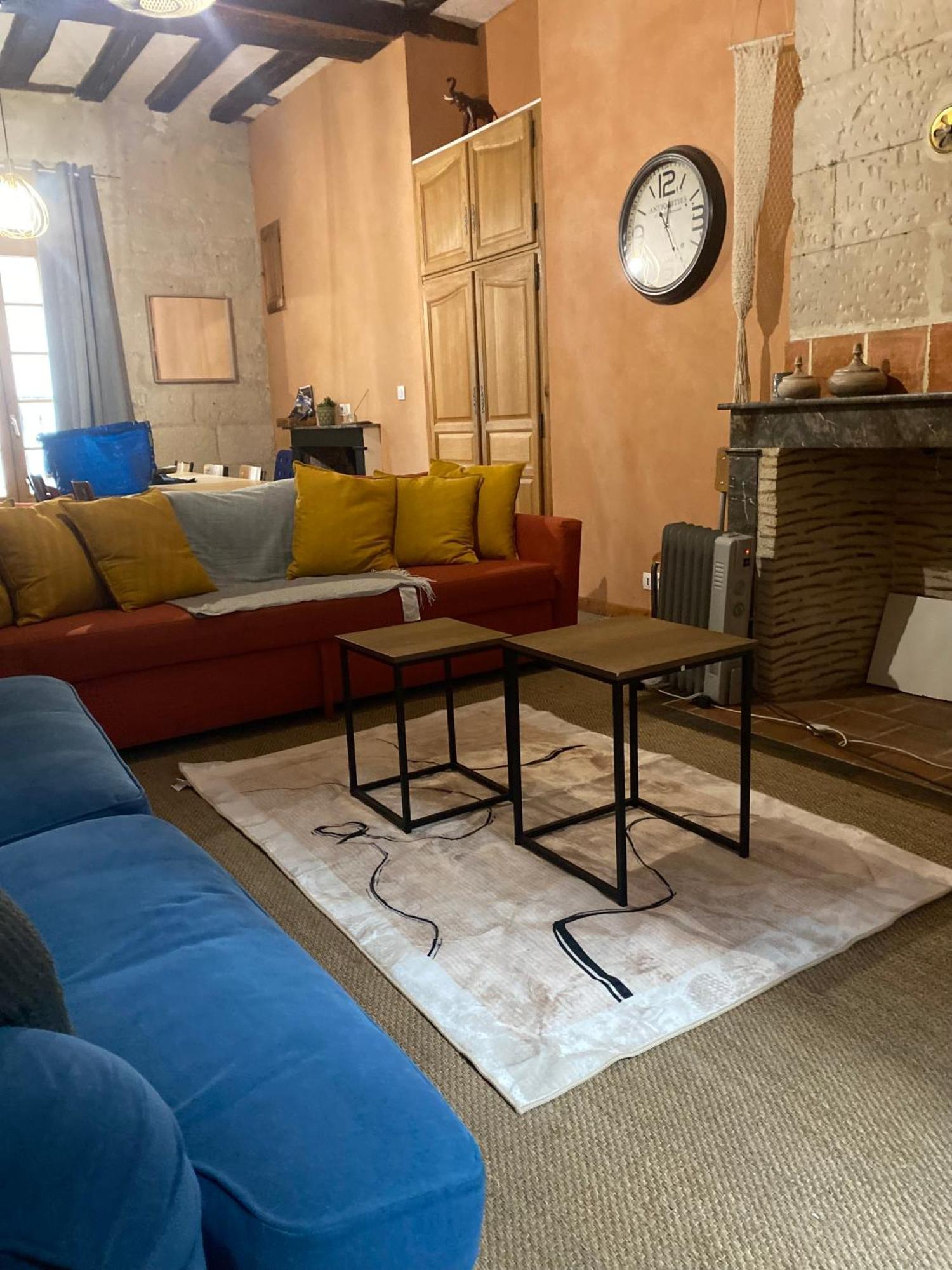 Grand Appartement Historique Rue Colbert 图尔 外观 照片