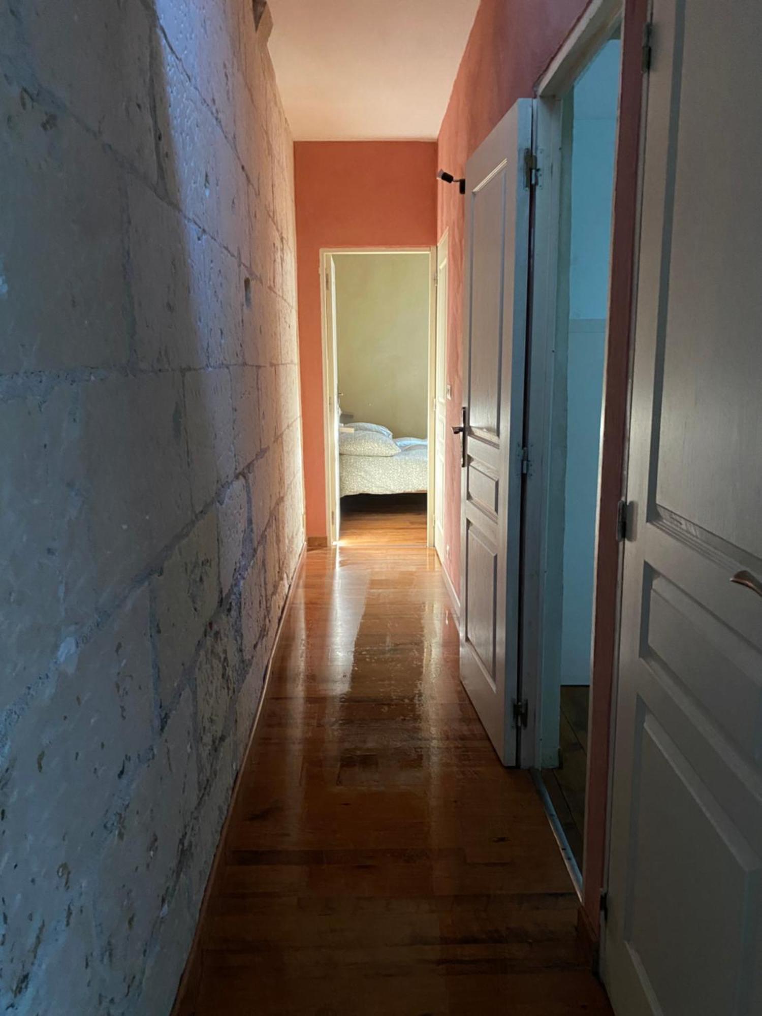 Grand Appartement Historique Rue Colbert 图尔 外观 照片