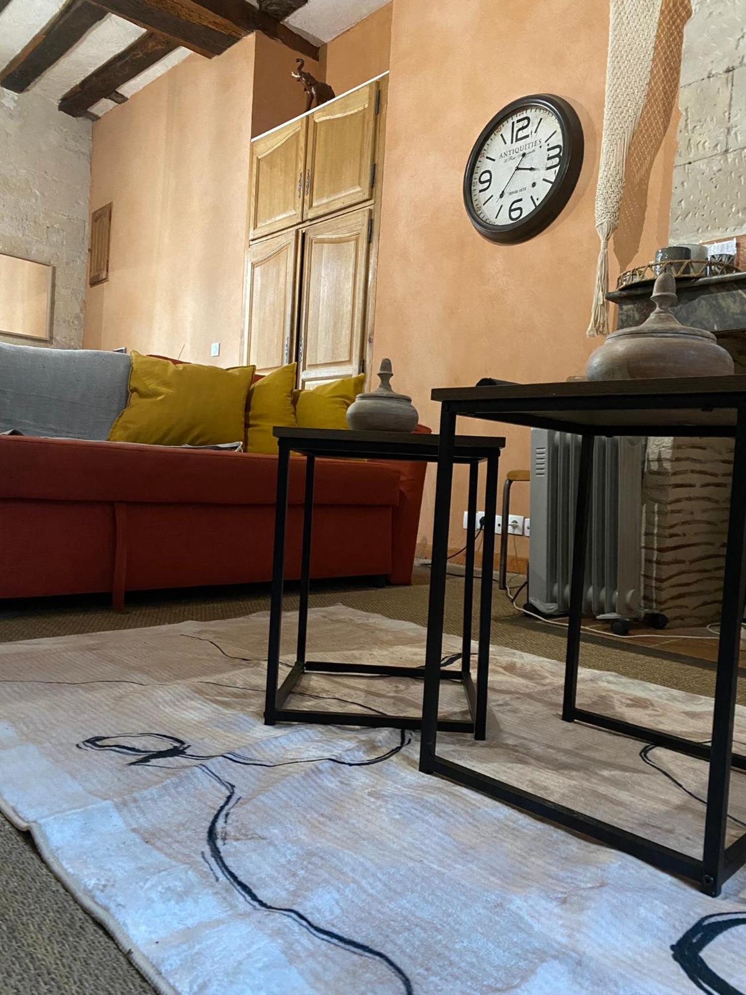 Grand Appartement Historique Rue Colbert 图尔 外观 照片
