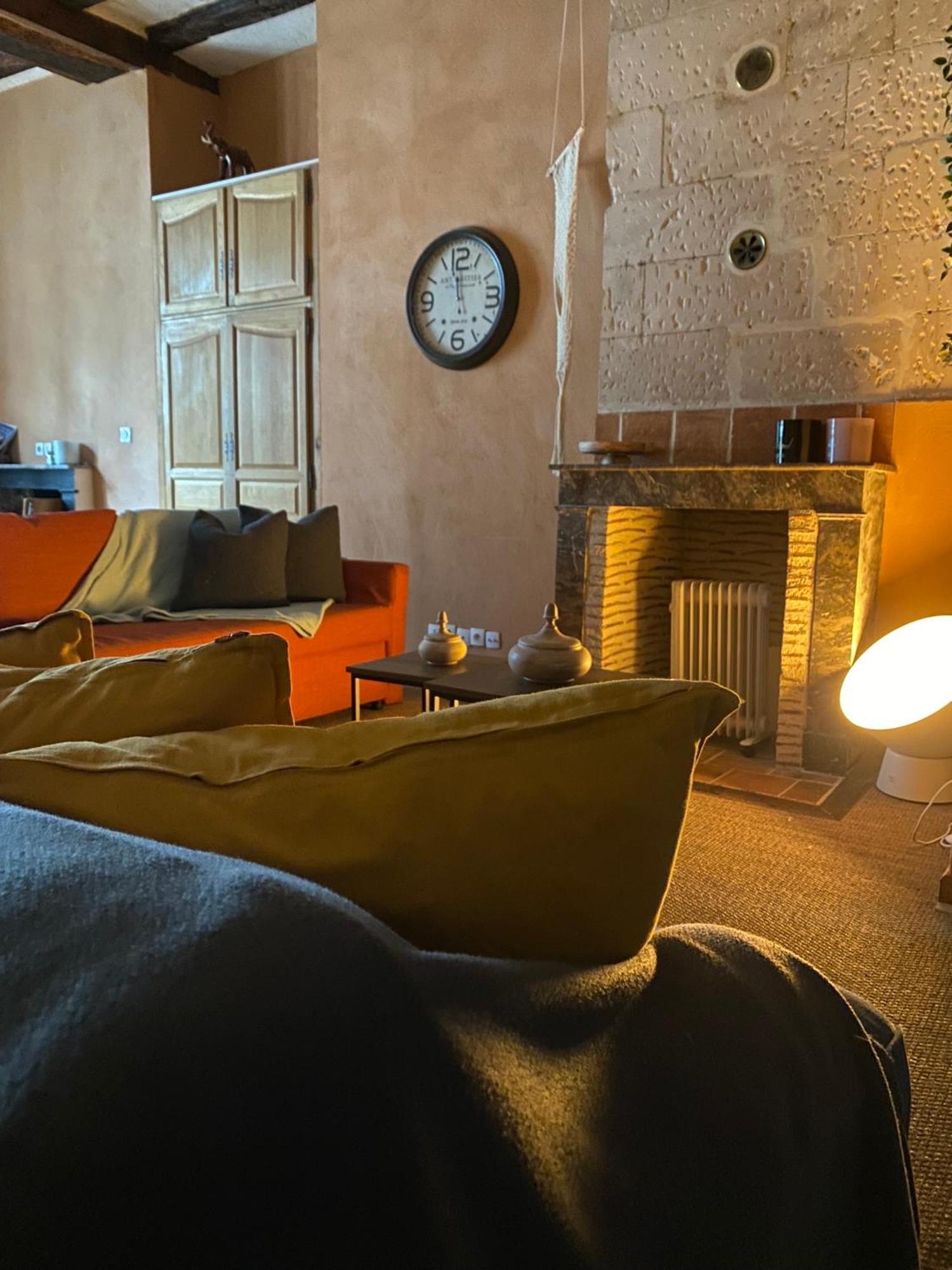 Grand Appartement Historique Rue Colbert 图尔 外观 照片
